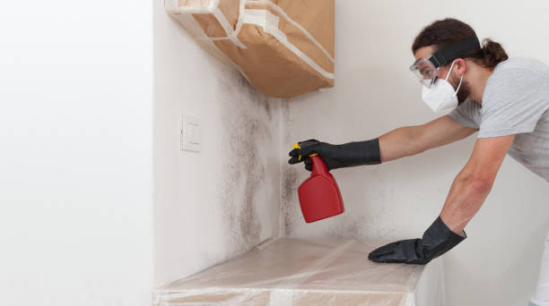 Professional Commercial Mold Remediation technician working in Wayland, MI