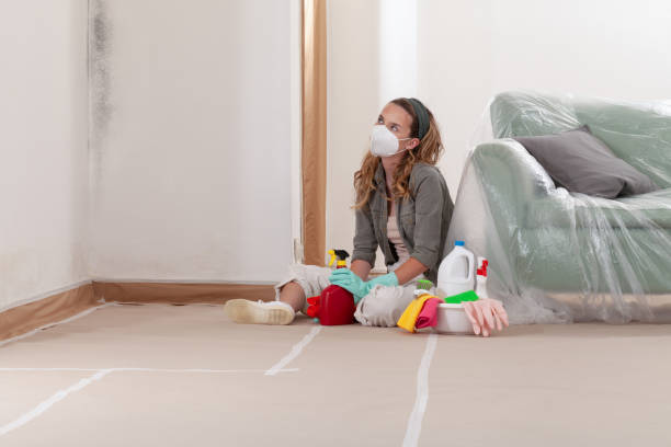 Reliable Commercial Mold Remediation contractor in Wayland, MI by WQB Mold Removal